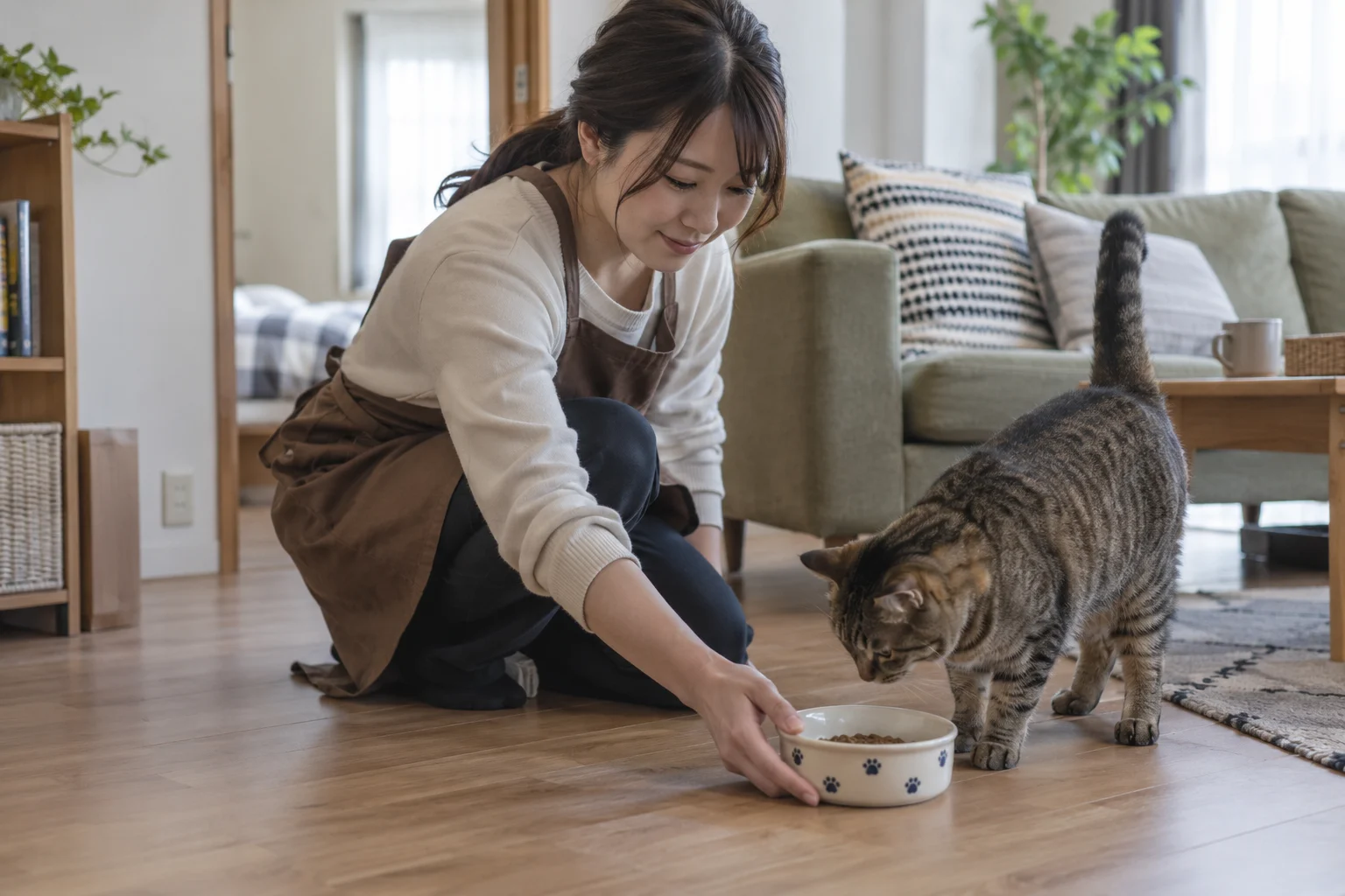 ペットシッター向けサンプルデザインのイメージ