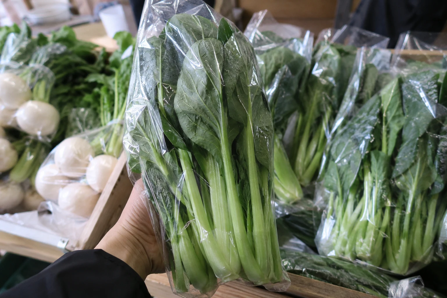 朝採れの小松菜のサンプル用の生成画像