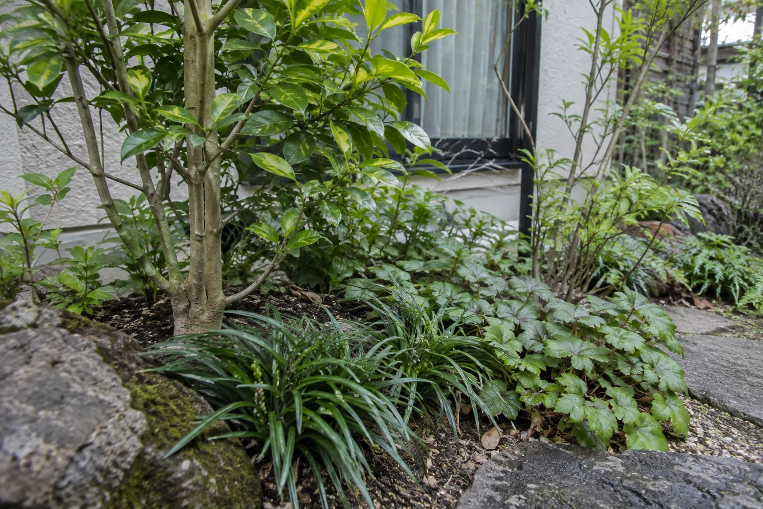 植栽の計画のサンプル用の生成画像
