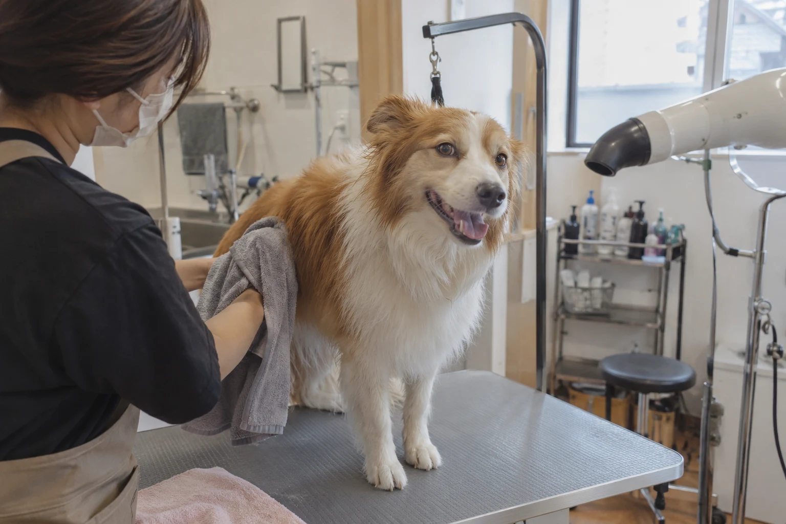 中型犬・シャンプーのサンプル用の生成画像